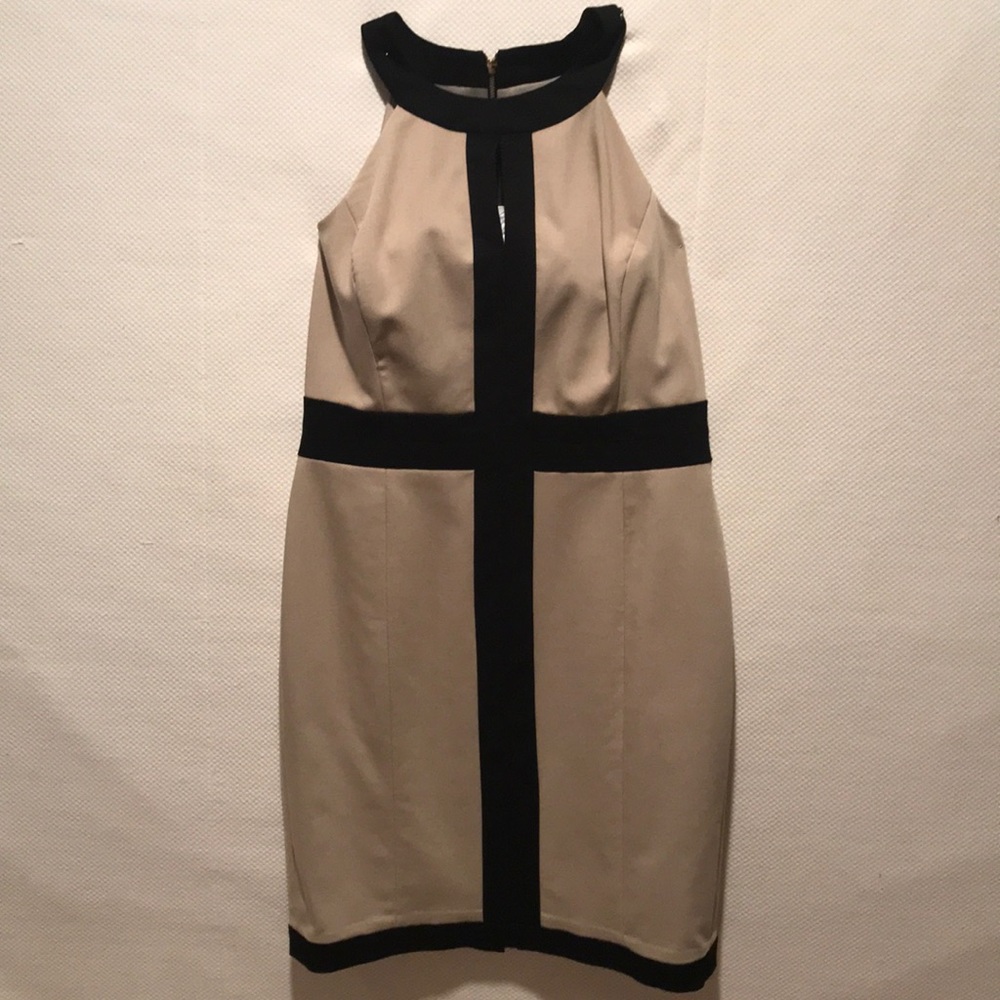 Ann Taylor, knee length dress. Petite